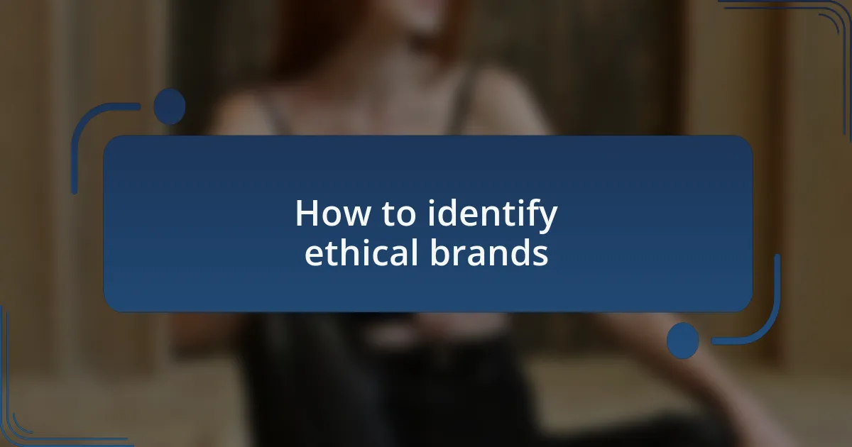 How to identify ethical brands