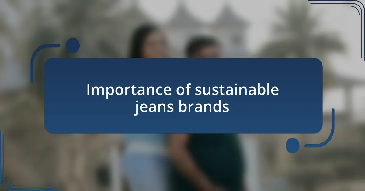Importance of sustainable jeans brands