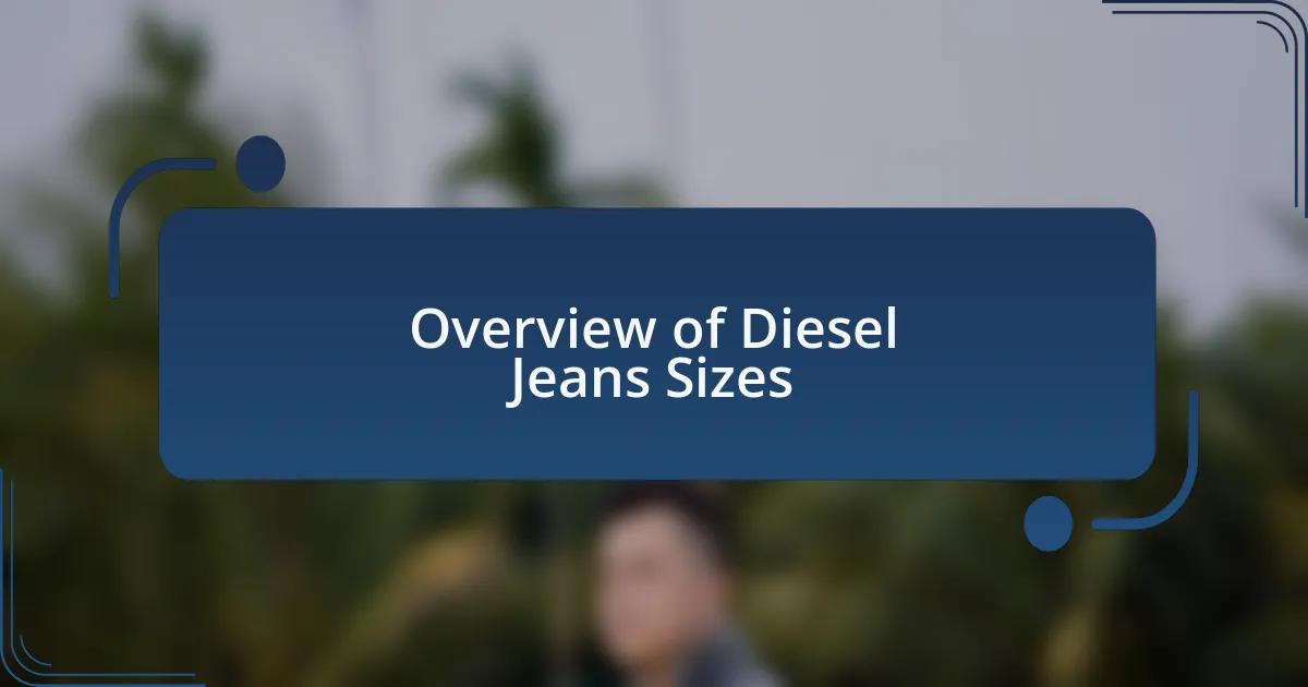 Overview of Diesel Jeans Sizes