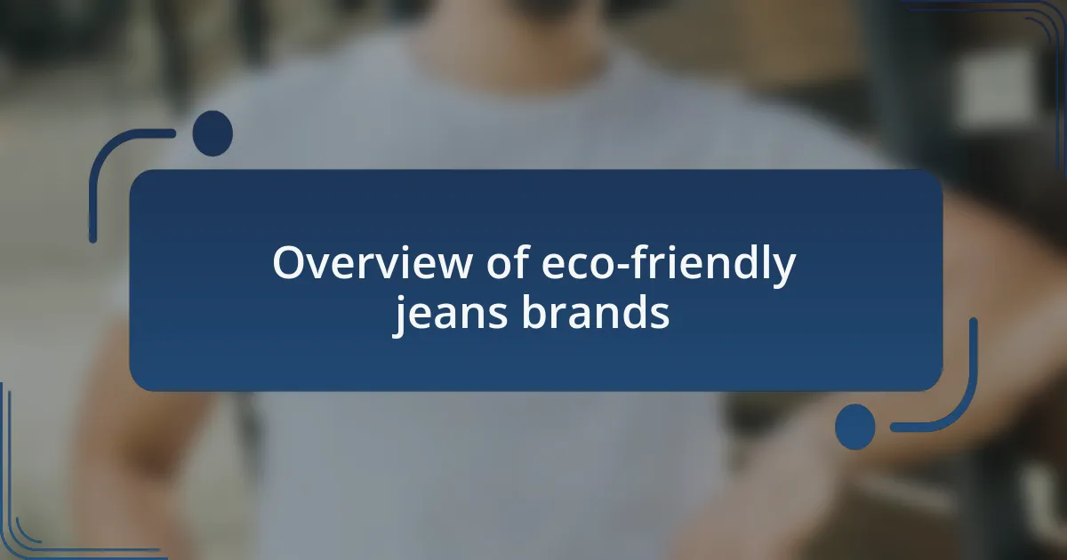 Overview of eco-friendly jeans brands