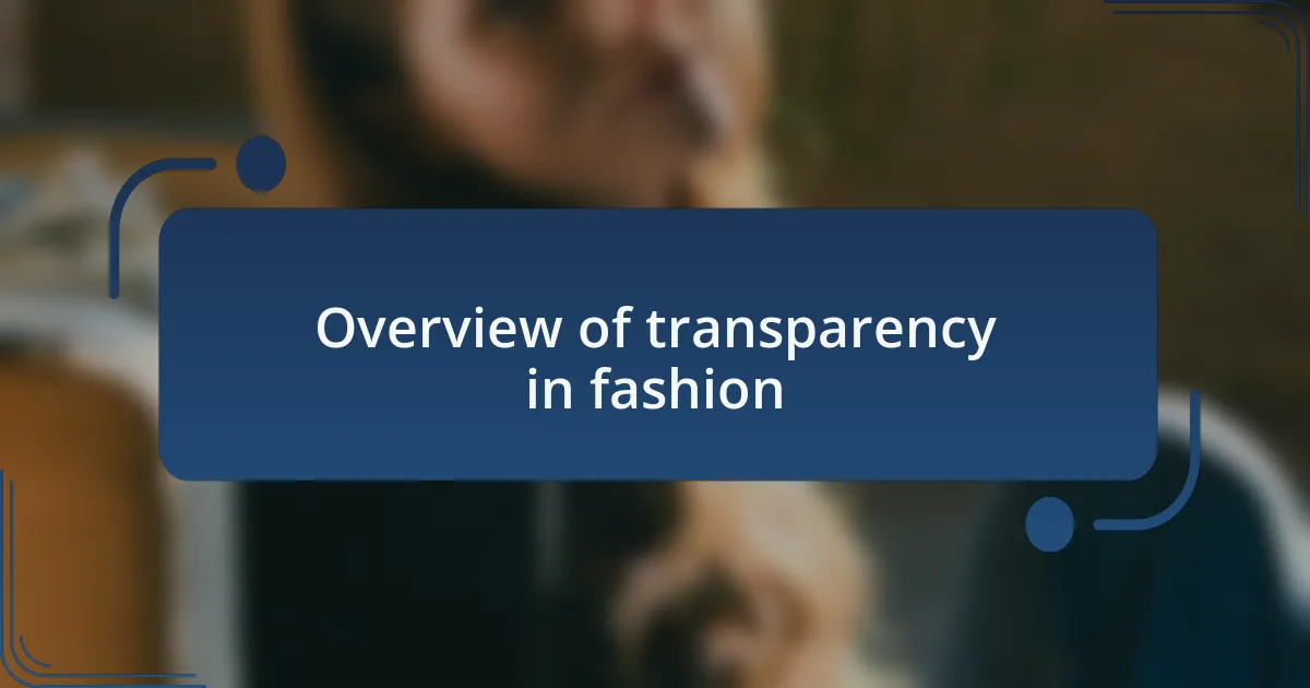 Overview of transparency in fashion