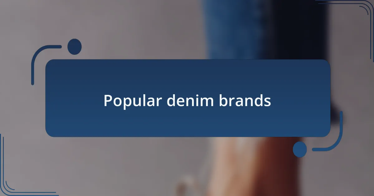 Popular denim brands
