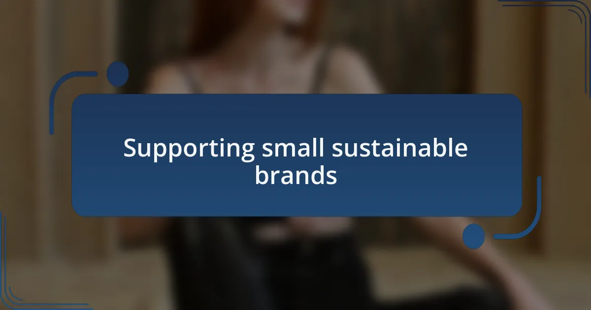 Supporting small sustainable brands