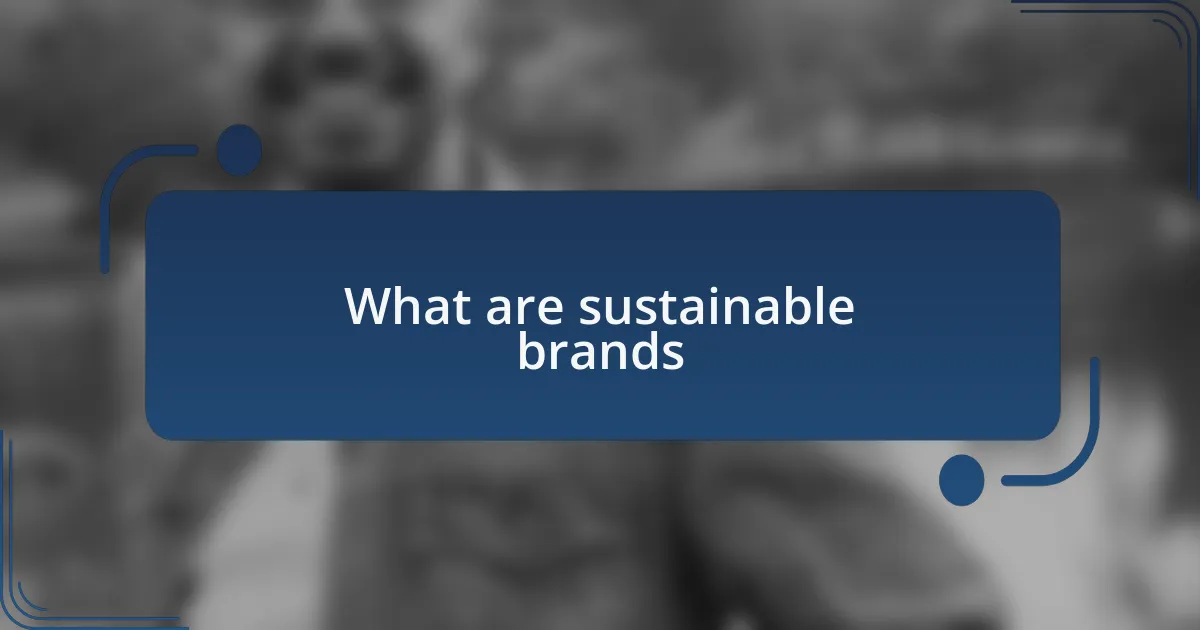 What are sustainable brands